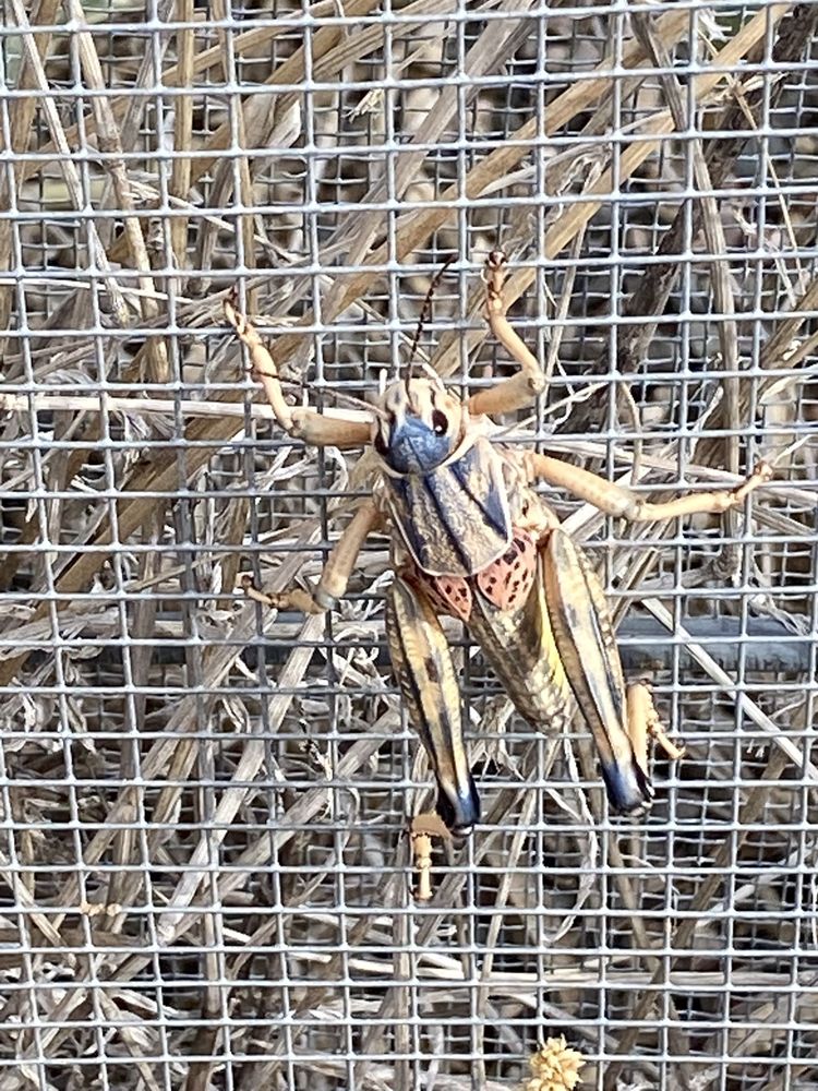 AQUA FRIA NATIONAL MONUMENT Updated August 2024 Badger Springs Rd