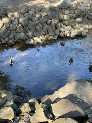 Franklin Cider Mill by null