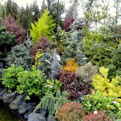 Father Nature's Garden Center