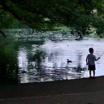 Laurelhurst Park - Daniil having fun catching bugs and watching the ducks! - Parks Near Me - Portland, Oregon Laurelhurst Park - Daniil having fun catching bugs and watching the ducks! - Parks Near Me - Portland, Oregon