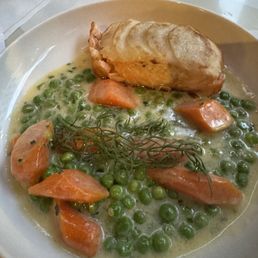 Salmon