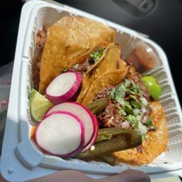 Birria