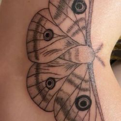 Defiant Buddha Bodyworks - Moth tattoo (from flash)