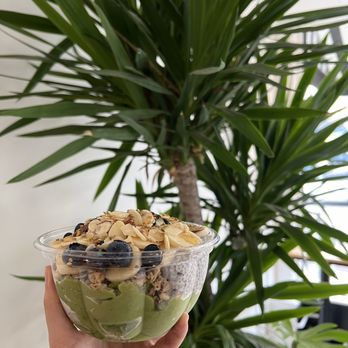 Palm Açai Café - Matcha chia bowl - Cafes Near Me - Berkeley, California Palm Açai Café - Matcha chia bowl - Cafes Near Me - Berkeley, California