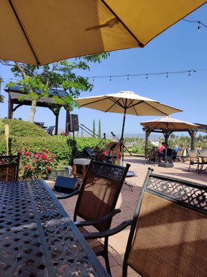 Hungry Hawk Vineyards & Winery by null