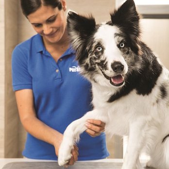 PetSmart - Pet Training Near Me - Klamath Falls, Oregon PetSmart - Pet Training Near Me - Klamath Falls, Oregon
