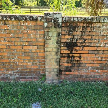 Alpine Home Services - Brick wall before cleaning pic. - Window Washing Near Me - Chuluota, Florida