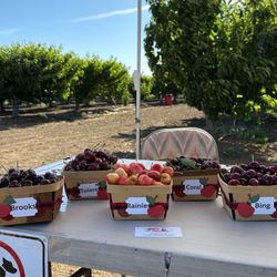 3D Cherries - Here are five of the varieties available to taste. I couldn't get the rest in my picture.
