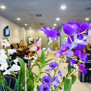 Dream Nail & Spa - Waxing Near Me - Palm Harbor, Florida Dream Nail & Spa - Waxing Near Me - Palm Harbor, Florida