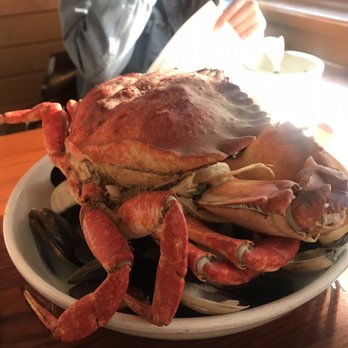 Moby Dick Restaurant - American Near Me - Santa Barbara, California Moby Dick Restaurant - American Near Me - Santa Barbara, California