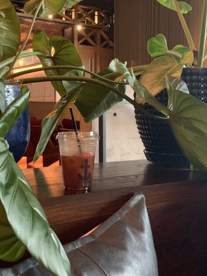 Barista Parlor W Nashville by null