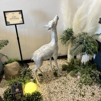 Em Coffee House - Bambi rock garden - Coffee & Tea Near Me - San Diego, California Em Coffee House - Bambi rock garden - Coffee & Tea Near Me - San Diego, California