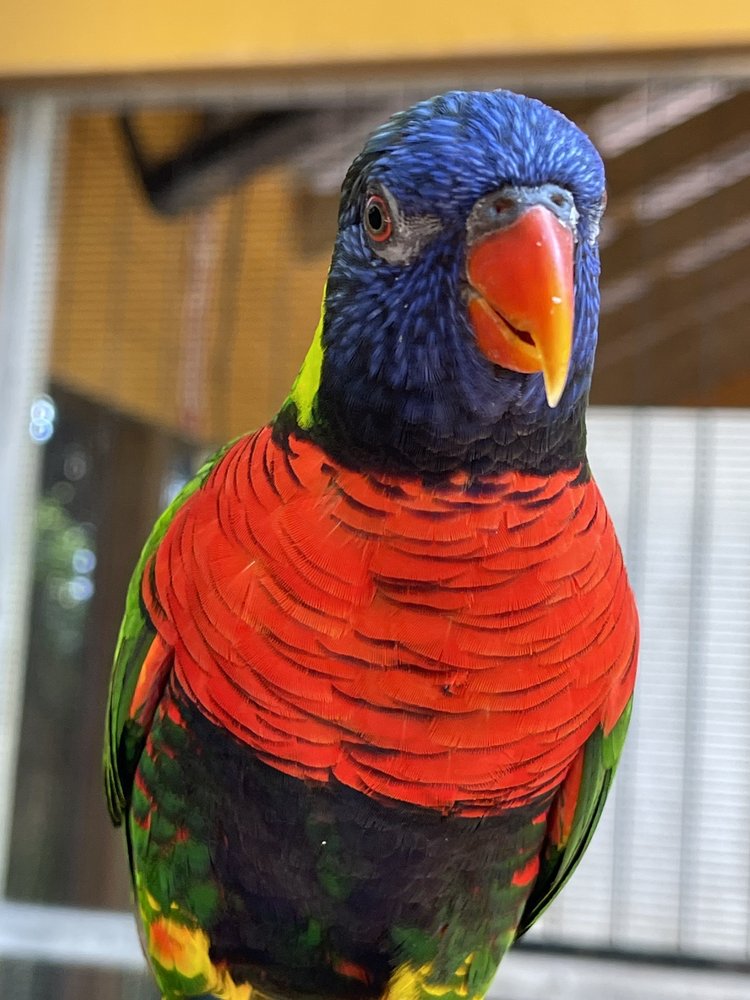 JACKSONVILLE ZOO AND GARDENS Updated June 2024 2611 Photos & 428