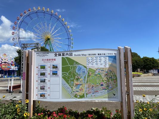 Hitachi Seaside Park by null