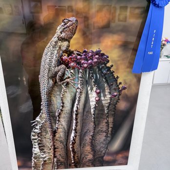 Thousand Oaks Community Gallery - Lizard on cactus, artist Gary Sindell - Art Galleries Near Me - Newbury Park, California Thousand Oaks Community Gallery - Lizard on cactus, artist Gary Sindell - Art Galleries Near Me - Newbury Park, California