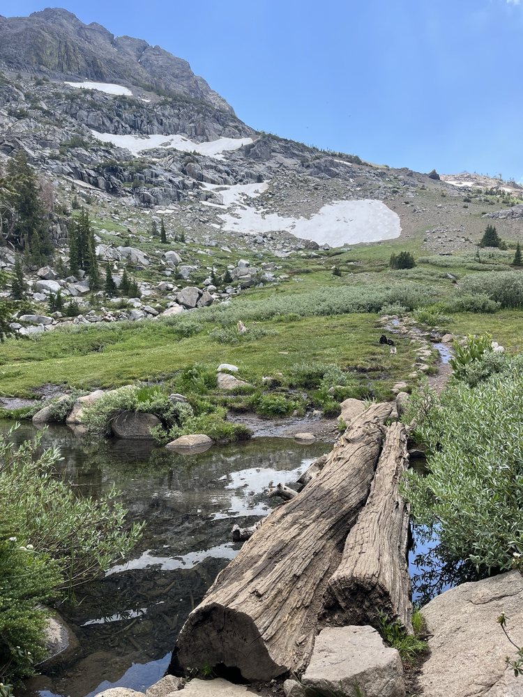 Winnemucca Lake Logo