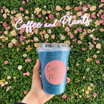 Coffee and Plants - Coffee & Tea Near Me - Pasadena, California