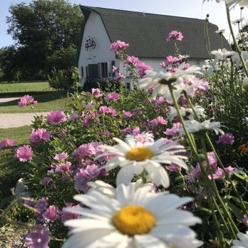 Tandem Ciders - Great location and scenery! - Beer, Wine & Spirits Near Me - Suttons Bay, Michigan Tandem Ciders - Great location and scenery! - Beer, Wine & Spirits Near Me - Suttons Bay, Michigan