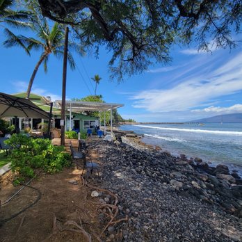 Mala Ocean Tavern - View from Garden Beach. - Seafood Near Me - Lahaina, Hawaii Mala Ocean Tavern - View from Garden Beach. - Seafood Near Me - Lahaina, Hawaii