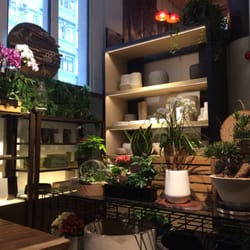 OVO Garden - Plenty of pots for your plants