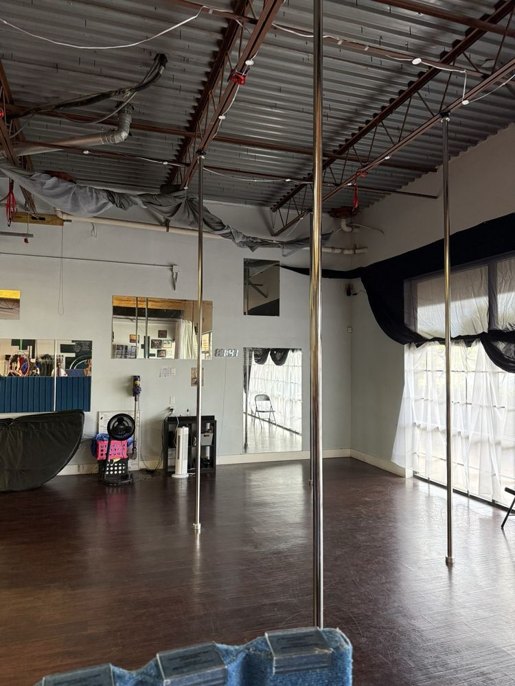 Laché Movement - wedding in Austin, TX