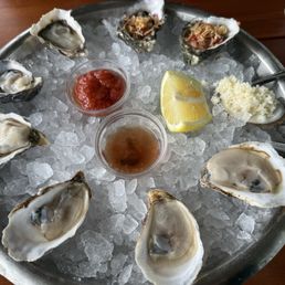 oysters oysters