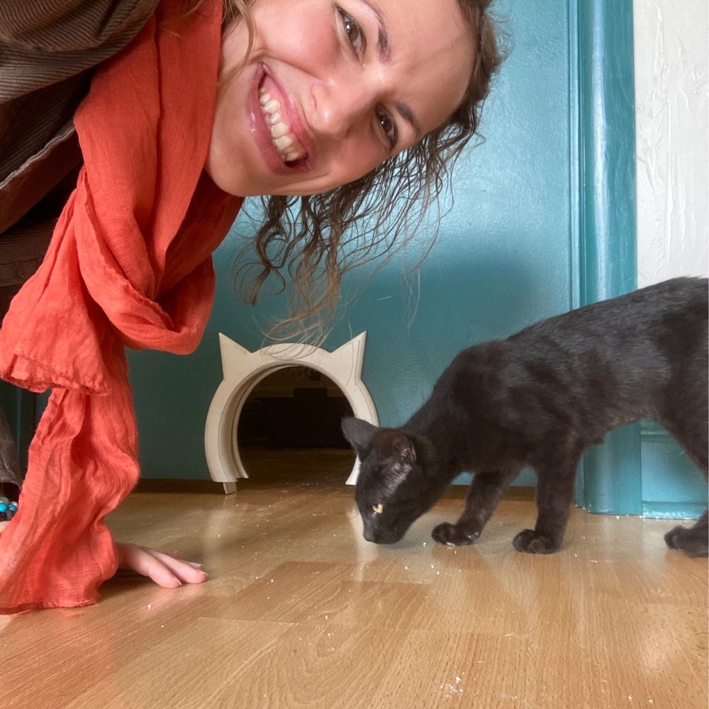 Feeline Good Cat Cafe - Cafes Near Me - Gainesville, Florida Feeline Good Cat Cafe - Cafes Near Me - Gainesville, Florida