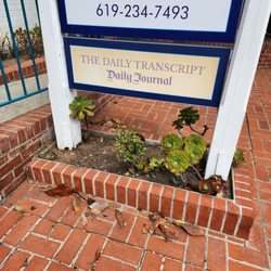 The Daily Transcript