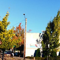 Max Orange Line - Portland Table Tennis Club, at SE17th Orang MAX syol.Who knew there was. a PING Pong club in pdx?