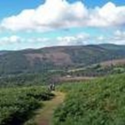 Wicklow Way