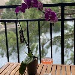 Vu Cheveux Studio - Lake view from your door