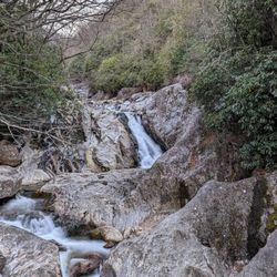 Sunburst Falls - Instagram: @telephonesmoothie
