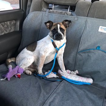 Crossroads Pet Resort - Pet Training Near Me - Stanton, California
