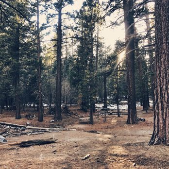Mount San Jacinto State Park - Parks Near Me - Idyllwild, California