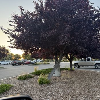 North Natomas Regional Park - Dog Parks Near Me - Sacramento, California North Natomas Regional Park - Dog Parks Near Me - Sacramento, California