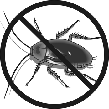 London Bed Bug - London Bed Bug - Pest Control Near Me - London, XGL