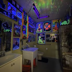 Toy Hunters - Even the bathroom is amazing!