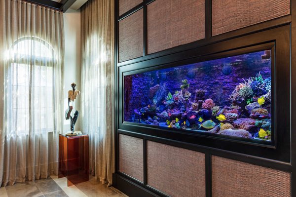 Jellyfish Art by null