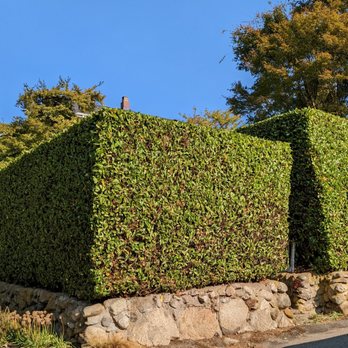 Highland Hedges & Trees - Tree Services Near Me - Redmond, Washington Highland Hedges & Trees - Tree Services Near Me - Redmond, Washington
