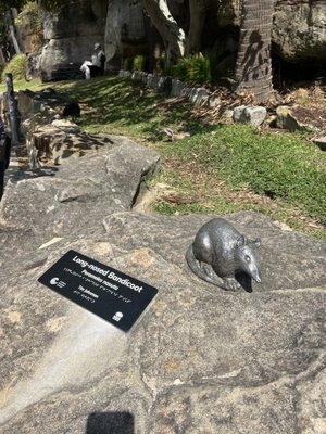 Shelly Beach by null