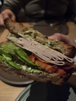 Poppy & Claro by null