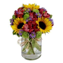 Limerick Florist - What I ordered