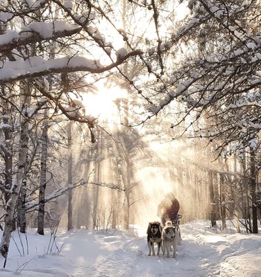 Wintergreen Northern Wear by null