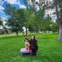 Photo of Sit Means Sit