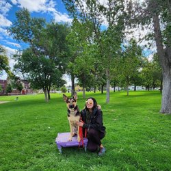Sit Means Sit