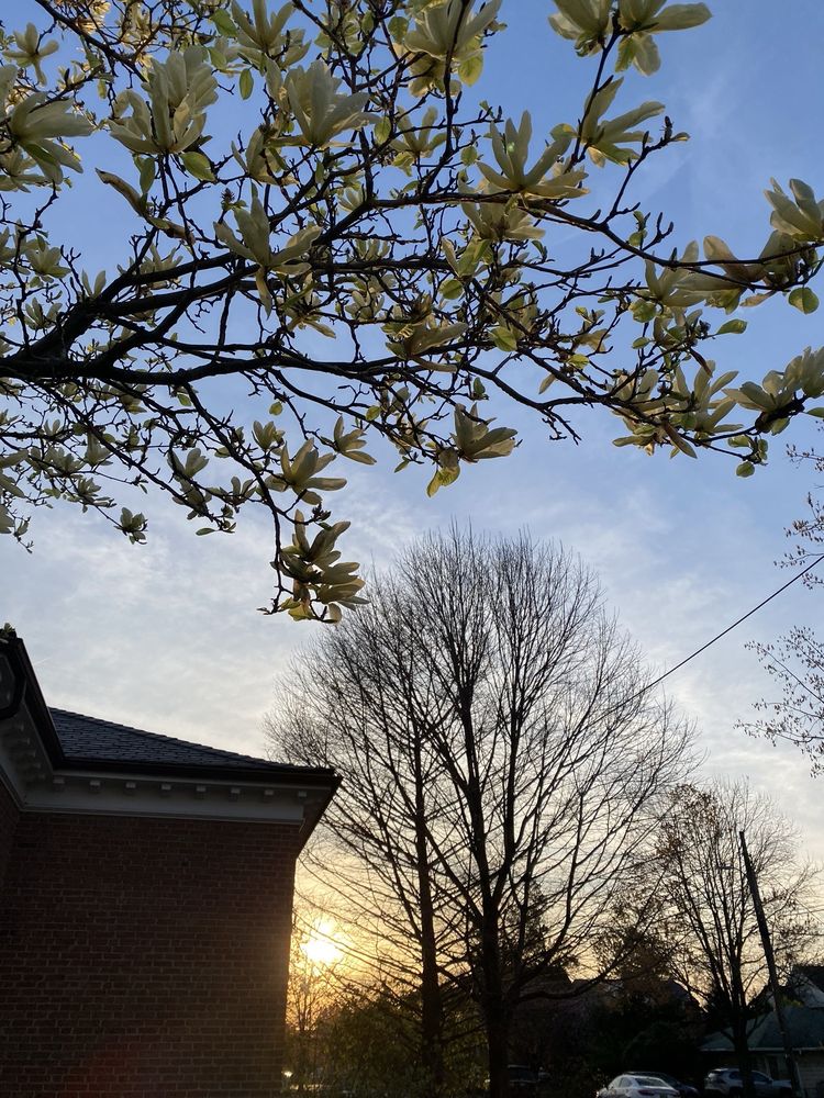 ARLINGTON COUNTY LIBRARY GLENCARLYN BRANCH Updated October 2024