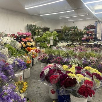 United Flower Wholesale - Cooler - Floral Designers Near Me - Pomona, California United Flower Wholesale - Cooler - Floral Designers Near Me - Pomona, California