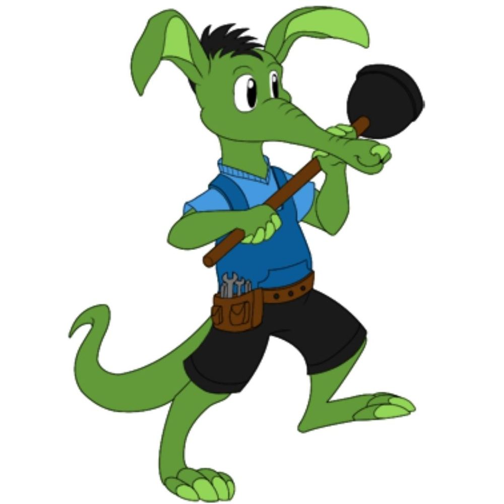 Slide of Aardvark Rooter