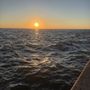 Mandeville Lakefront