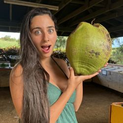 Koloa Fruit Stand - Coconut